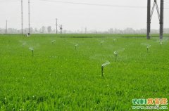 [农广天地]微咸水灌溉冬小麦种植技术
